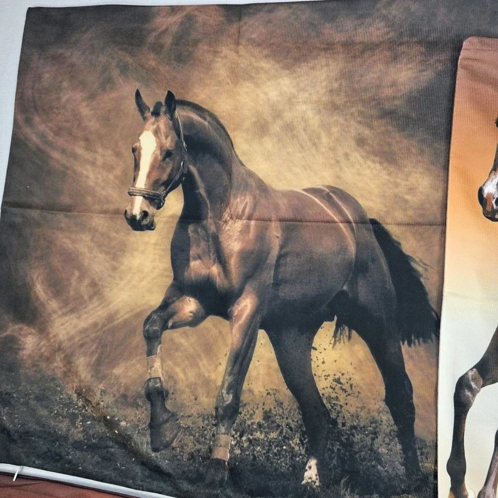 Western Decor Horse Pillow Covers 19